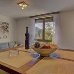 Apartment Gorstak-seha