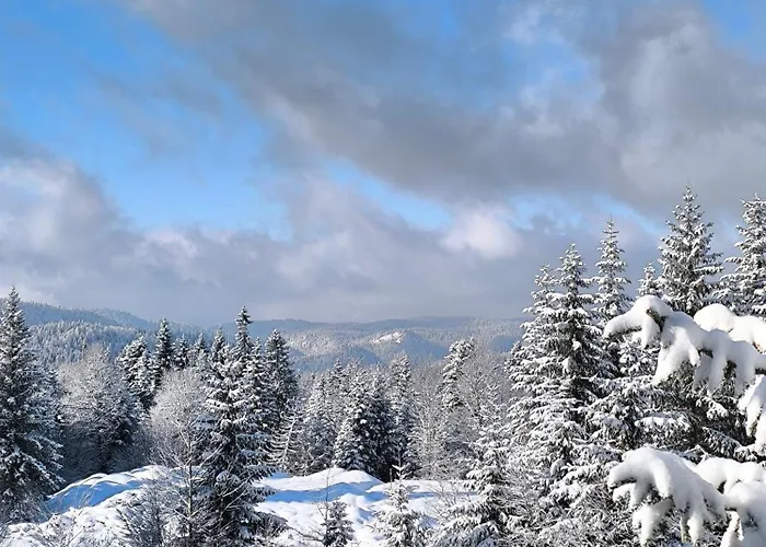 公寓 Gorstak-seha 亚霍里纳